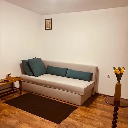 Apartment Spacious With A Mountain View, Big Balcony And Parking
