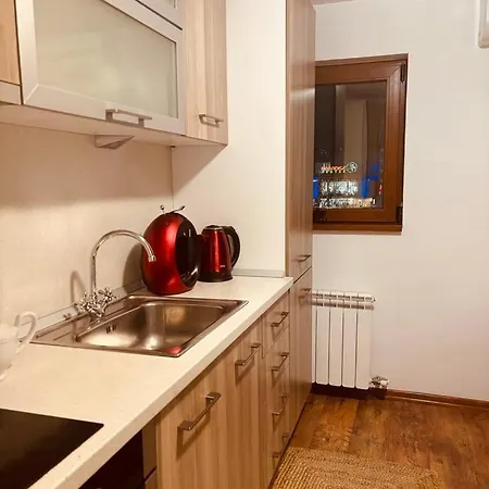 Apartment Spacious With A Mountain View, Big Balcony And Parking Sofia